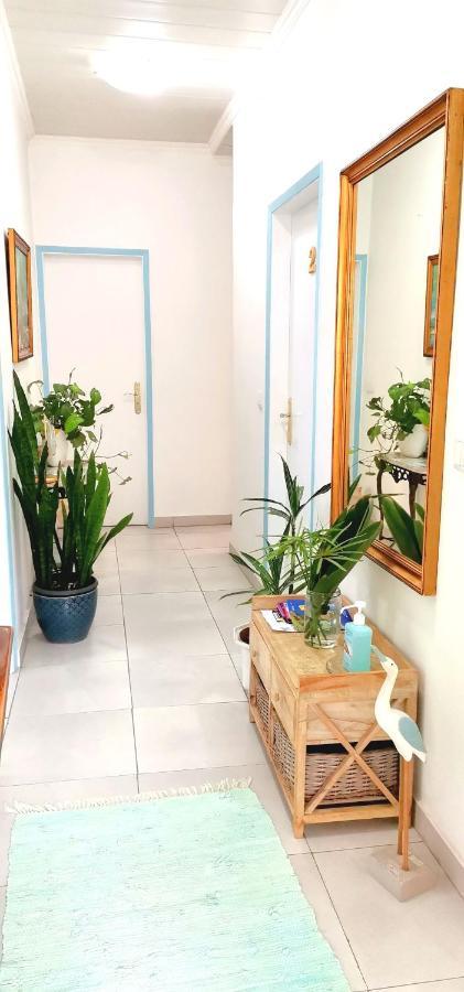 Home & Flower - Private Bedrooms Funchal Екстер'єр фото