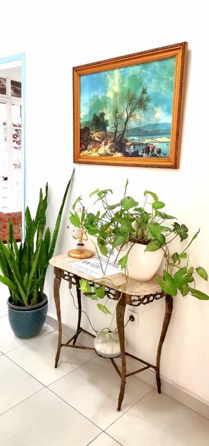 Home & Flower - Private Bedrooms Funchal Екстер'єр фото