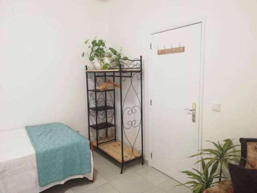 Home & Flower - Private Bedrooms Funchal Екстер'єр фото